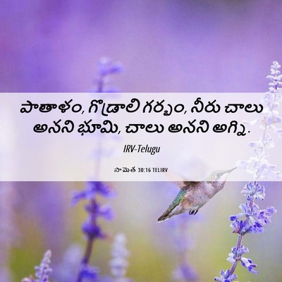 Picture 06 - సామెత 30:16 TELIRV - పాతాళం, గొడ్రాలి - Bible Verse Picture