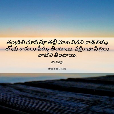 Picture 06 - సామెత 30:17 TELIRV - తండ్రిని దూషిస్తూ - Bible Verse Picture