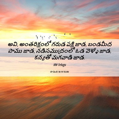 Picture 06 - సామెత 30:19 TELIRV - అవి, అంతరిక్షంలో - Bible Verse Picture