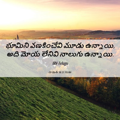 Picture 06 - సామెత 30:21 TELIRV - భూమిని వణకించేవి - Bible Verse Picture