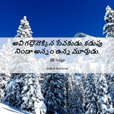 Picture 06 - సామెత 30:22 TELIRV - అవి గద్దెనెక్కిన - Bible Verse Picture