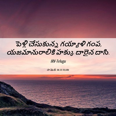 Picture 06 - సామెత 30:23 TELIRV - పెళ్లి చేసుకున్న - Bible Verse Picture