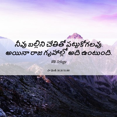 Picture 06 - సామెత 30:28 TELIRV - నీవు బల్లిని - Bible Verse Picture