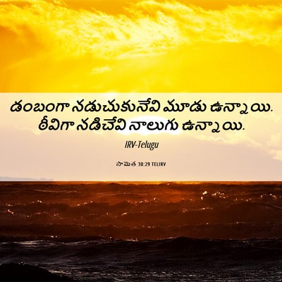Picture 06 - సామెత 30:29 TELIRV - డంబంగా - Bible Verse Picture