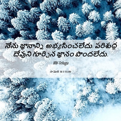 Picture 06 - సామెత 30:3 TELIRV - నేను జ్ఞానాన్ని - Bible Verse Picture