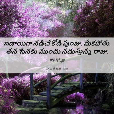 Picture 06 - సామెత 30:31 TELIRV - బడాయిగా నడిచే - Bible Verse Picture