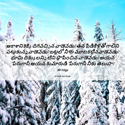 Picture 06 - సామెత 30:4 TELIRV - ఆకాశానికెక్కి - Bible Verse Picture
