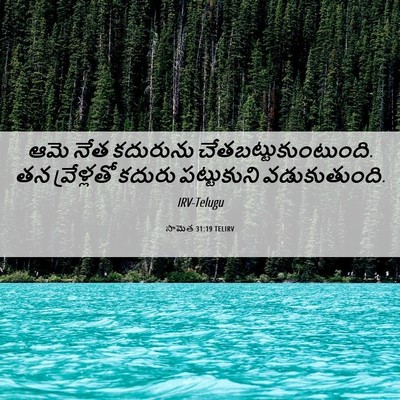 Picture 06 - సామెత 31:19 TELIRV - ఆమె నేత కదురును - Bible Verse Picture