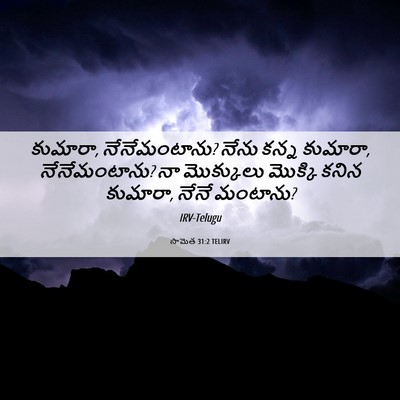 Picture 06 - సామెత 31:2 TELIRV - కుమారా, - Bible Verse Picture