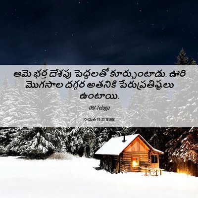 Picture 06 - సామెత 31:23 TELIRV - ఆమె భర్త దేశపు - Bible Verse Picture