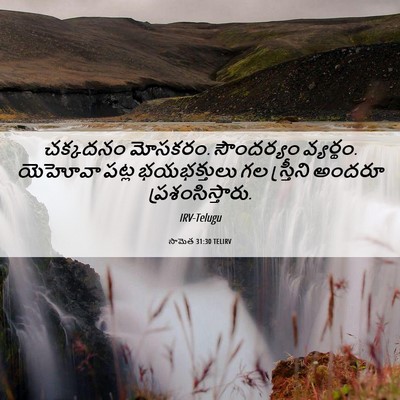 Picture 06 - సామెత 31:30 TELIRV - చక్కదనం మోసకరం. - Bible Verse Picture
