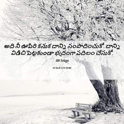 Picture 06 - సామెత 4:13 TELIRV - అది నీ ఊపిరి కనుక - Bible Verse Picture