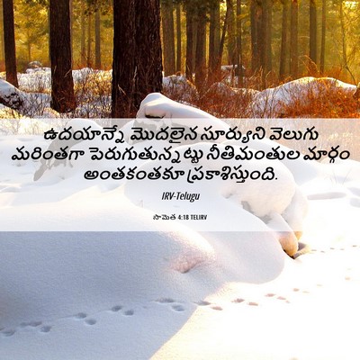 Picture 06 - సామెత 4:18 TELIRV - ఉదయాన్నే మొదలైన - Bible Verse Picture