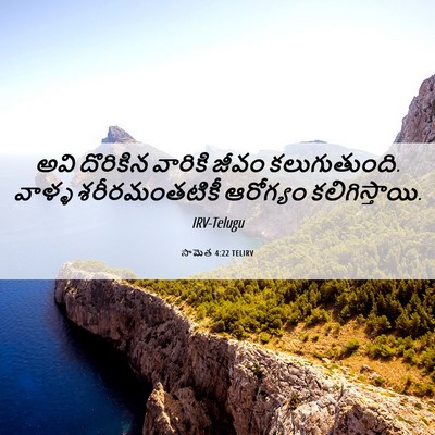 Picture 06 - సామెత 4:22 TELIRV - అవి దొరికిన - Bible Verse Picture