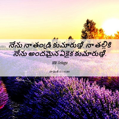 Picture 06 - సామెత 4:3 TELIRV - నేను నా తండ్రి - Bible Verse Picture