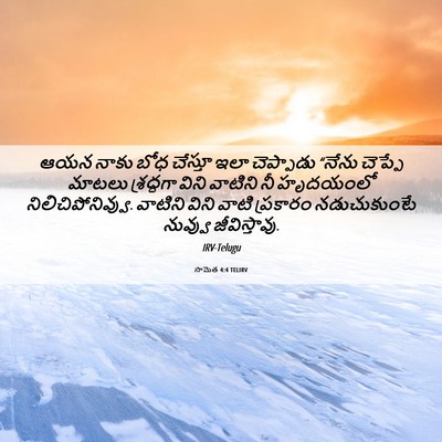 Picture 06 - సామెత 4:4 TELIRV - ఆయన నాకు బోధ - Bible Verse Picture