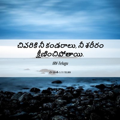 Picture 06 - సామెత 5:11 TELIRV - చివరికి నీ - Bible Verse Picture