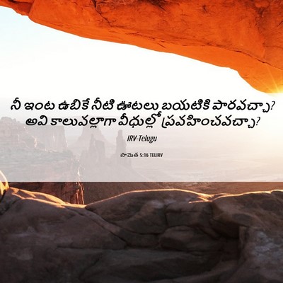 Picture 06 - సామెత 5:16 TELIRV - నీ ఇంట ఉబికే నీటి - Bible Verse Picture