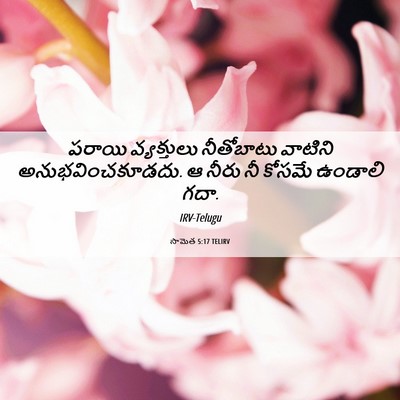 Picture 06 - సామెత 5:17 TELIRV - పరాయి వ్యక్తులు - Bible Verse Picture