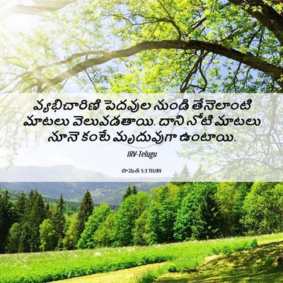 Picture 06 - సామెత 5:3 TELIRV - వ్యభిచారిణి - Bible Verse Picture