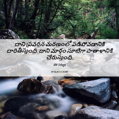 Picture 06 - సామెత 5:5 TELIRV - దాని ప్రవర్తన - Bible Verse Picture