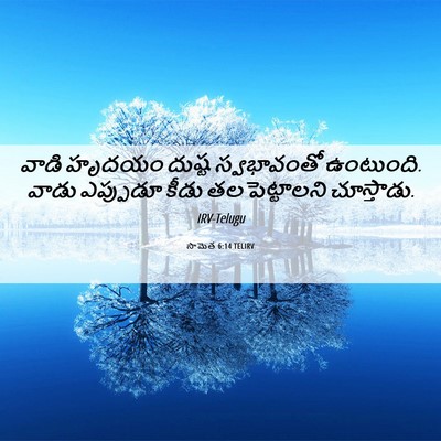 Picture 06 - సామెత 6:14 TELIRV - వాడి హృదయం దుష్ట - Bible Verse Picture
