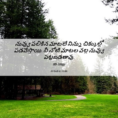 Picture 06 - సామెత 6:2 TELIRV - నువ్వు పలికిన - Bible Verse Picture