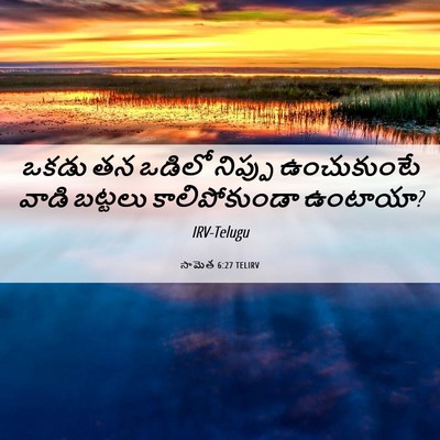 Picture 06 - సామెత 6:27 TELIRV - ఒకడు తన ఒడిలో - Bible Verse Picture
