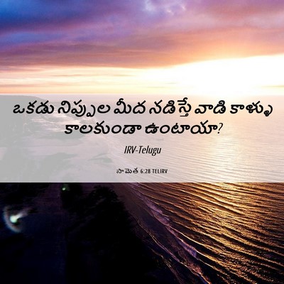 Picture 06 - సామెత 6:28 TELIRV - ఒకడు నిప్పుల మీద - Bible Verse Picture