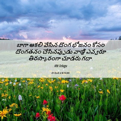 Picture 06 - సామెత 6:30 TELIRV - బాగా ఆకలి వేసిన - Bible Verse Picture