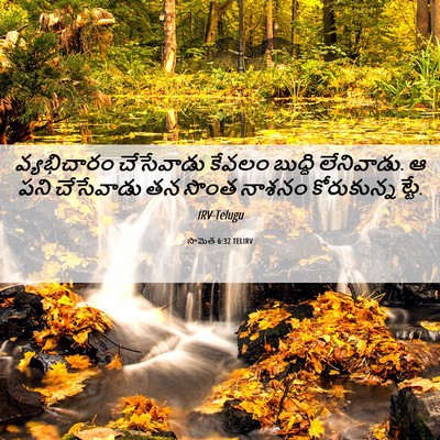 Picture 06 - సామెత 6:32 TELIRV - వ్యభిచారం - Bible Verse Picture