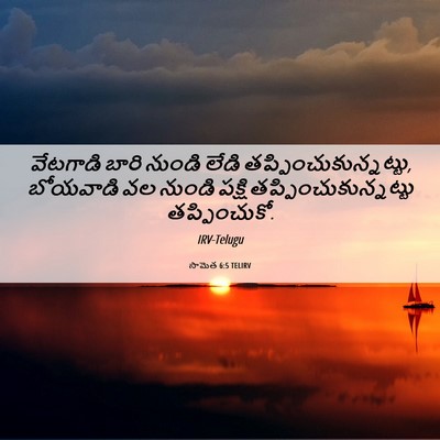 Picture 06 - సామెత 6:5 TELIRV - వేటగాడి బారి - Bible Verse Picture