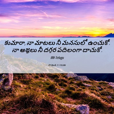 Picture 06 - సామెత 7:1 TELIRV - కుమారా, నా మాటలు నీ - Bible Verse Picture