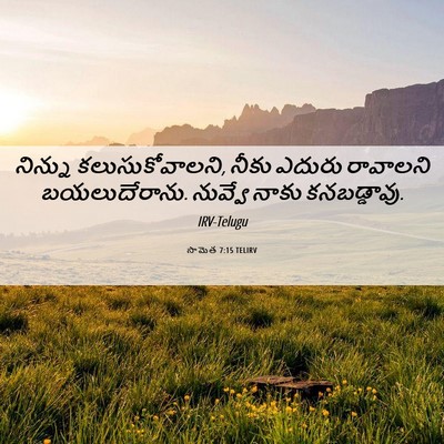 Picture 06 - సామెత 7:15 TELIRV - నిన్ను - Bible Verse Picture