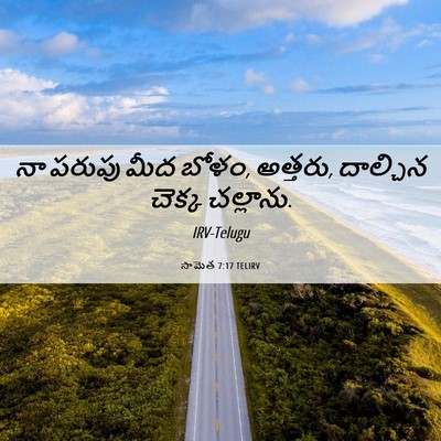 Picture 06 - సామెత 7:17 TELIRV - నా పరుపు మీద బోళం, - Bible Verse Picture