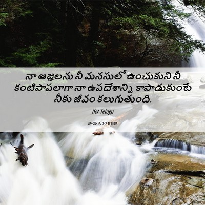 Picture 06 - సామెత 7:2 TELIRV - నా ఆజ్ఞలను నీ - Bible Verse Picture