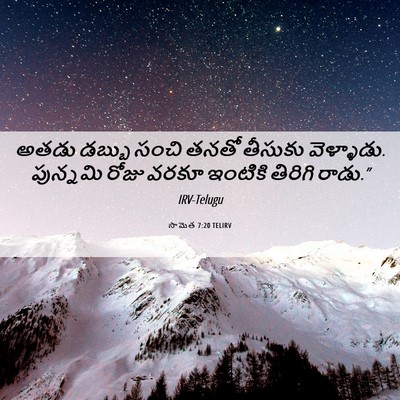 Picture 06 - సామెత 7:20 TELIRV - అతడు డబ్బు సంచి - Bible Verse Picture