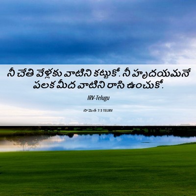 Picture 06 - సామెత 7:3 TELIRV - నీ చేతి వేళ్లకు - Bible Verse Picture