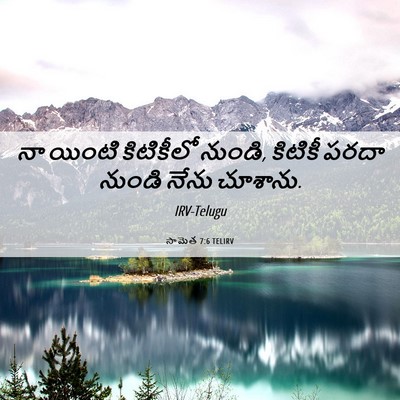 Picture 06 - సామెత 7:6 TELIRV - నా యింటి కిటికీలో - Bible Verse Picture