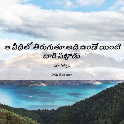 Picture 06 - సామెత 7:9 TELIRV - ఆ వీధిలో తిరుగుతూ - Bible Verse Picture
