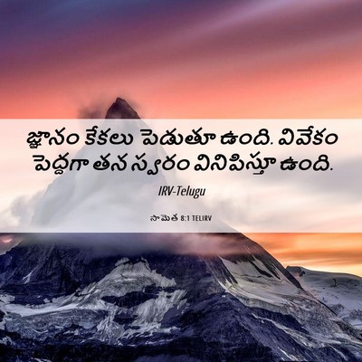 Picture 06 - సామెత 8:1 TELIRV - జ్ఞానం కేకలు - Bible Verse Picture