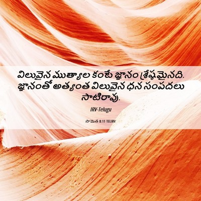 Picture 06 - సామెత 8:11 TELIRV - విలువైన ముత్యాల - Bible Verse Picture