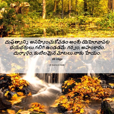 Picture 06 - సామెత 8:13 TELIRV - దుష్టత్వాన్ని - Bible Verse Picture