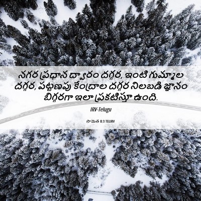 Picture 06 - సామెత 8:3 TELIRV - నగర ప్రధాన ద్వారం - Bible Verse Picture