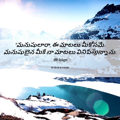 Picture 06 - సామెత 8:4 TELIRV - “మనుషులారా, ఈ - Bible Verse Picture