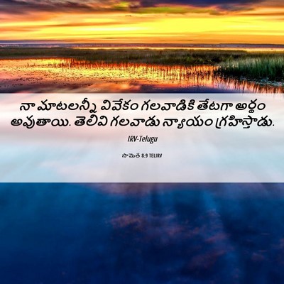 Picture 06 - సామెత 8:9 TELIRV - నా మాటలన్నీ - Bible Verse Picture