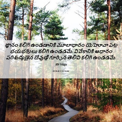 Picture 06 - సామెత 9:10 TELIRV - జ్ఞానం కలిగి - Bible Verse Picture