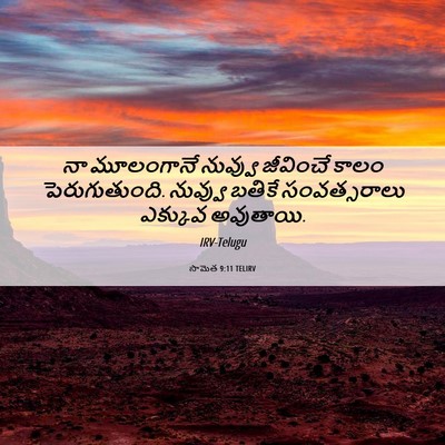 Picture 06 - సామెత 9:11 TELIRV - నా మూలంగానే - Bible Verse Picture