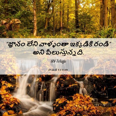 Picture 06 - సామెత 9:4 TELIRV - “జ్ఞానం లేని - Bible Verse Picture