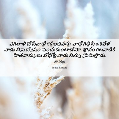 Picture 06 - సామెత 9:8 TELIRV - ఎగతాళి చేసేవాణ్ణి - Bible Verse Picture